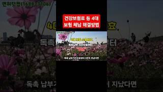 건강보험료 등 4대 보험 체납 해결방법이 있다?