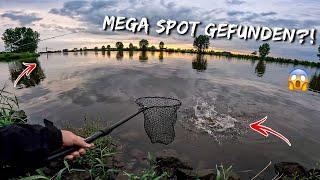 Fisch auf ersten Wurf  kennt kein Angler diesen Spot ⁉️