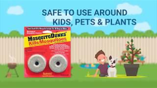 Mosquito Dunks & Mosquito Bits (a.k.a Mosquito Killer) product video