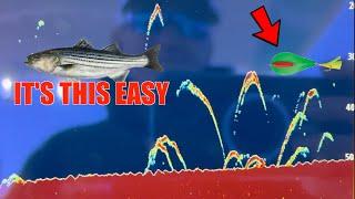 HOW TO TROLL STRIPED BASS FOR DUMMIES