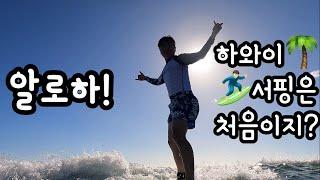 어서와! 하와이 서핑은 처음이지? ft.한국인강사, 파도