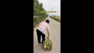 农村搞笑段子