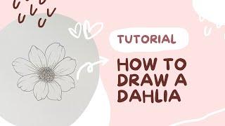 HOW TO: Learn to draw a DAHLIA tutorial