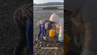#득실이#쌍둥이형제#삽시도#바다이야기