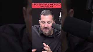 THE ROLE OF ACETYLCHOLINE IN PLASTICITY|Dr.Andrew Huberman #health #neuroscience #brain #self