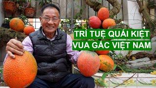 Vua Gấc Với Trí Tuệ Lên Tầm Quái Kiệt  | Người Đặc Biệt