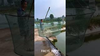 Fishing Technique (Part - 2) #shorts