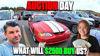 BACK TO BASICS! How Many CHEAP CARS can WE BUY at AUCTION in 1 day?