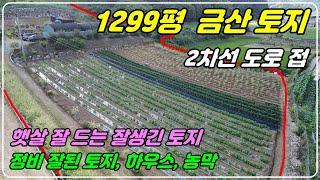 878 [금산 토지매매] 1299평에 네모 반듯한 토지로 하우스, 농막이 있고 2차선 도로에 접한 잘생긴 부동산 매물이랍니다. 마을과 떨어져 있고 넓은 농지로 활용도 많은 곳이에요