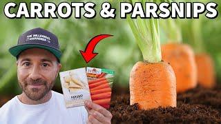 How To Grow A NEVER ENDING Supply Of CARROTS And PARSNIPS!