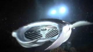 Diving the Big Island