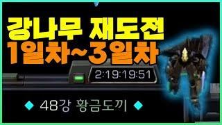 [1일차~3일차] 강나무 클리어 2차 재도전