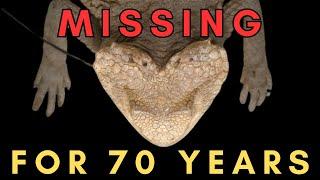 LOST species FOUND - How Ditmars' Horned Lizard was Rediscovered