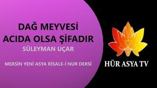 DAĞ MEYVESİ ACIDA OLSA ŞİFADIR / SÜLEYMAN UÇAR | MERSİN YENİ ASYA RİSALE-İ NUR DERSİ