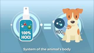 MicrocynAH animal care products