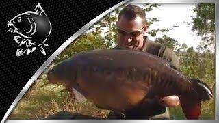 NASH 2011 A TACKLE REVOLUTION DVD PART 2 - CARP FISHING VIDEOS - NASH TV