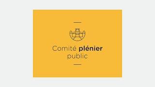 Comité plénier public du 2 juillet 2024