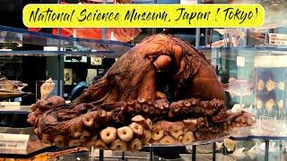 国立科学博物館 National Museum of Nature and Science | Japan's biggest science museum | Tokyo with Kids