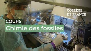 Chimie des fossiles (1) - Jean-Jacques Hublin (2023-2024)