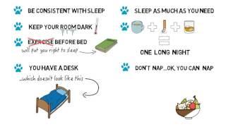 The Importance of Sleep for Studying