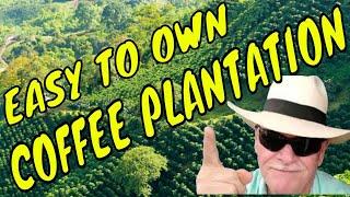 Unlock Your Retirement Dream: Own a $100,000 Coffee Plantation in Colombia