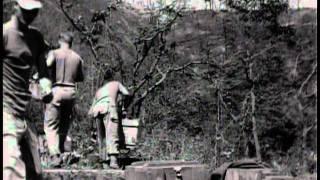 The Army Combat Team - The Big Picture