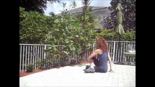Post Workout Stretch (7 minutes) w/ Tamara