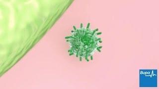 How a common cold develops | Bupa Health