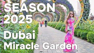 Dubai  Amazing Miracle Garden, New Season 2025 [4K] Walking Tour