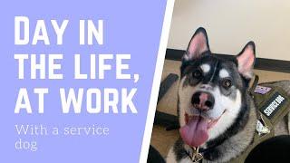 Day in the life- At work with my service dog