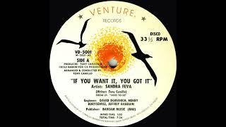 Sandra Feva - If You Want It, You Got It  (12" Original)