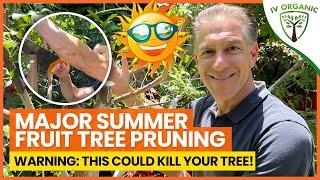 Summer Pruning Fruit Tree Tips A-to-Z | DEMO with AFTER RESULTS!