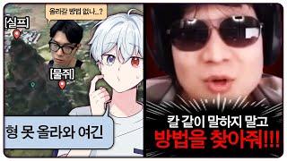 냉철한 실프