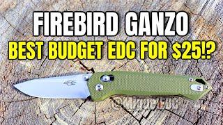 This EDC Knife Has No Right Being THIS GOOD! - Ganzo Firebird FB7651-GR Review