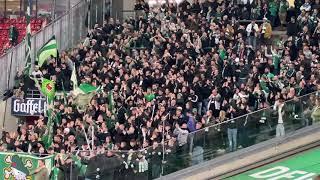 Supporters | FC Köln vs SV Werder Bremen 0-1 | 20240216