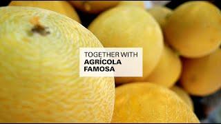 MSC Customer Story - Agrícola Famosa - Carlo Porro Interview