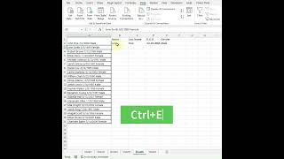 Flash Fill in MS excel #shorts