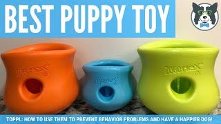 Best Food Toy for Your Puppy or Dog: Solve Behavior Problems Using a Westpaw Toppl Toy!