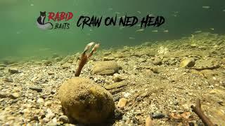 Rabid Baits Promo