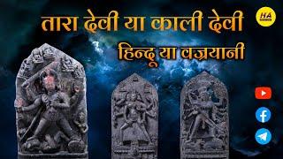 काली माता या तारा देवी का असली इतिहास | Tara Devi History | Kaali Mata ka itihas  | Hamara Ateet |