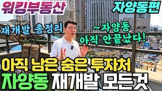 자양동 재개발 투자의 모든 곳을 담았다! 이영상하나로 끝 숨은 자양동 투자지역까지 공개 - 워킹부동산