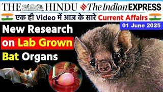 1 June 2025 | The Hindu Newspaper Analysis | 1 June 2025 Current Affairs Today | Editorial Analysis