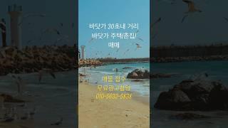 바닷가 앞 주택 매매 바닷가 주택 매매 바닷가 집 매물 동해 바닷가 집 매물 임영웅 모래 알갱이 #매물접수 #매물 #바닷가주택 #부동산매매 #부동산 임영웅 모래 알갱이 #트로트