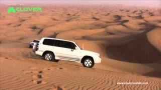 Desert Safari | Clover Travel & Tourism LLC