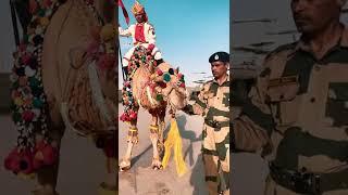 Glimpse of the Grand Inaugration at Nadabet | Indo-Pak Border