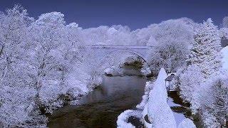 Infrared Video Using a Converted DSLR Camera