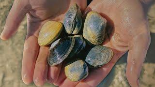 Shellfish Forage and a Feast with Human Nature Hunting