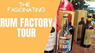 Walk with me on this RUM Factory Tour @Hampden | History, Heritage & Hospitality | How Rum Is Made