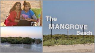 Mangrove Beach Umm Al Quwain | Overnight camping spot | Barbecue | Crab hunting |Jyothi's Food World