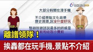 離譜領隊！ 挨轟都在玩手機.景點不介紹